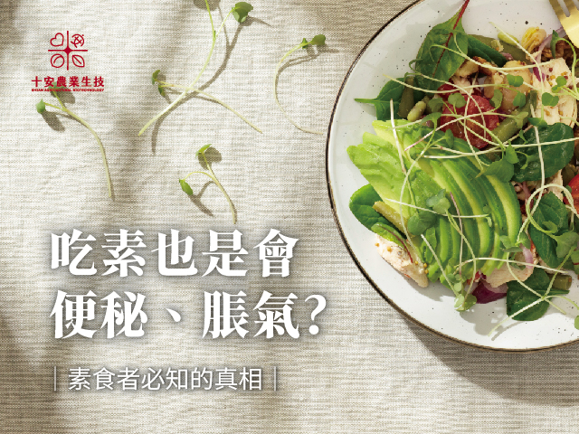 素食