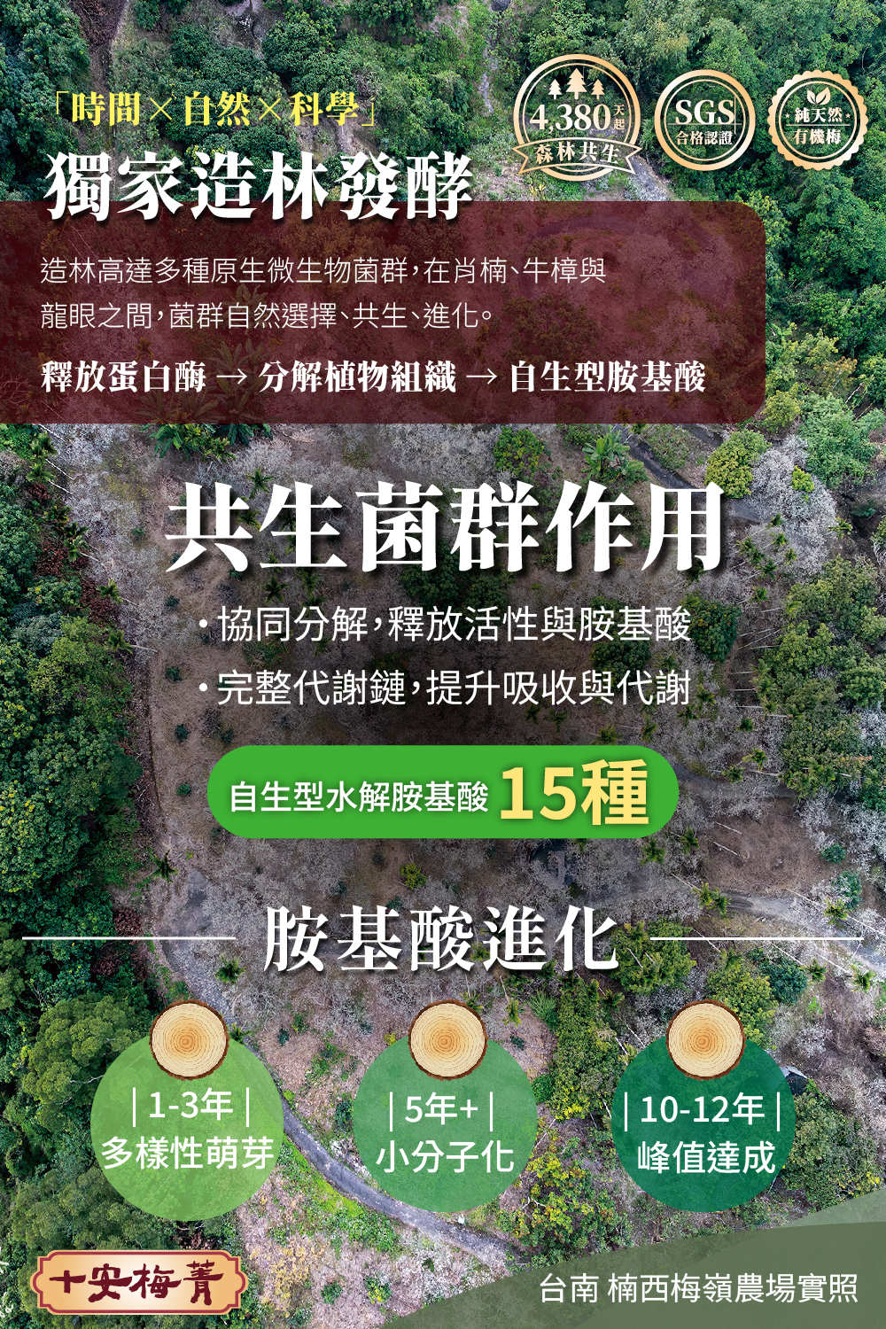 共生菌群作用
