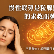 慢性疲勞與粒線體